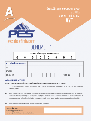 AYT 1.DENEME - PES YAYINLARI 2024
